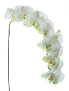 Orchidej Phalaenopsis Bora bílá Real Touch V111 cm