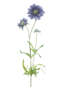 Kopretina divoká fialová 63 cm