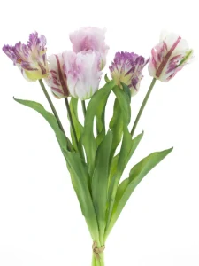 Tulipán papouškovitý Sally svazek levandulový mix 51 cm