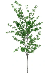 Bucida Černý olivovník větev zelená 202 cm