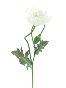 Mák Casper krémový 73 cm