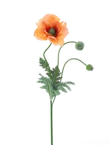 Mák Casper oranžový 93 cm