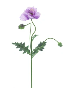 Mák Casper levandulový 93 cm
