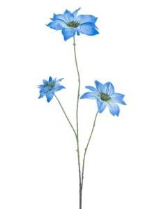 Plamének Clematis Jewl modrý 89 cm