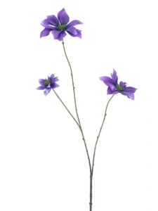Plamének Clematis Jewl fialový-lilkový 89 cm