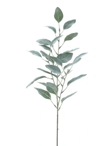 Eukalyptus Blahovičník ojíněný zelený 72 cm