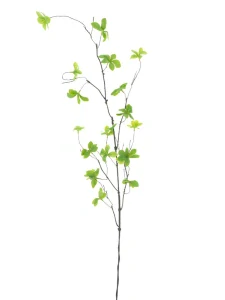 Enkiantus listová větev zelená 116 cm