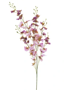 Orchidej Oncidium levandulová 93 cm