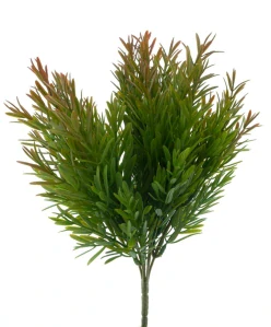 Podokarpus keřík zelený 35 cm