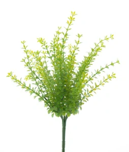 Jarní list keřík zelený 40 cm