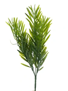 Podokarpus keřík zelený 35 cm