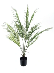 Palma Areka Sara v květináči zelená 90 cm