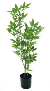 Aralie strom v květináči zelený 100 cm