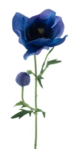 Sasanka Mina tmavě modrá 63 cm