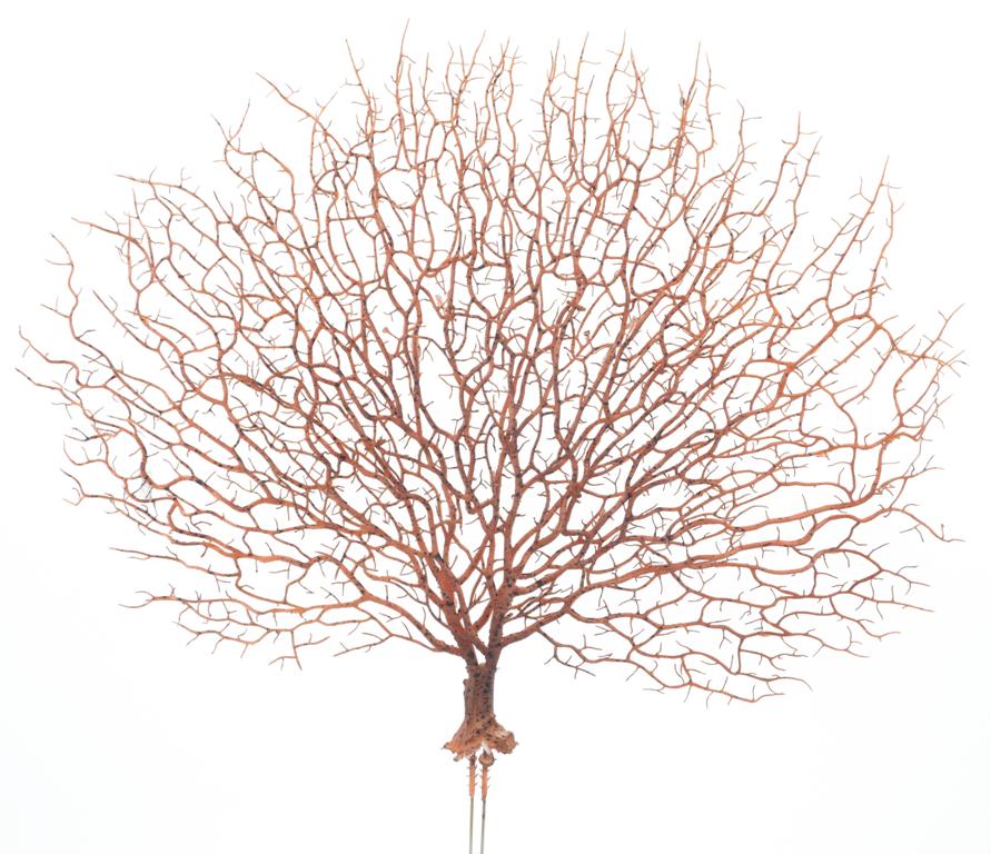 Korálový dekorační rám 47cm