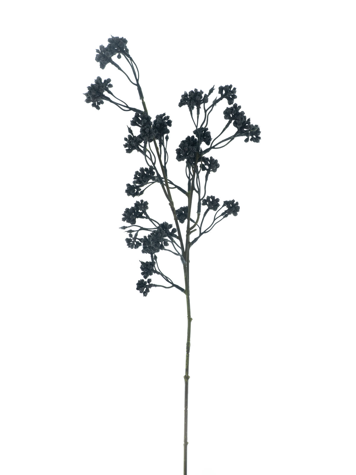 Morušová větev černá v70 cm