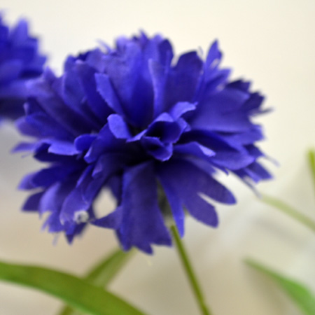 Centaura spray dk blue 68cm