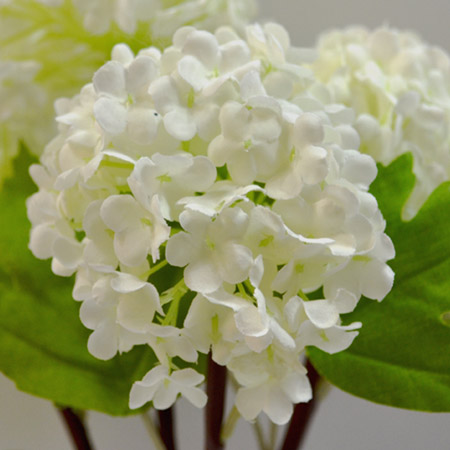 Snowball buch x5 cream 30cm