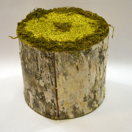 Trunk large w/moss15x18cm