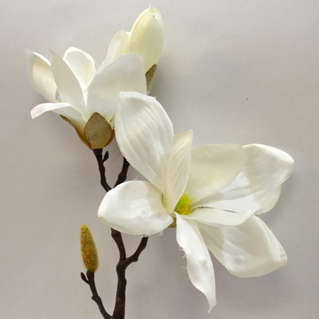Magnolia pick Ibis cream 40cm