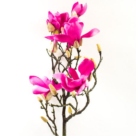Magnolia Gold fuchsia 109cm