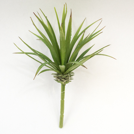 Agave green 16cm
