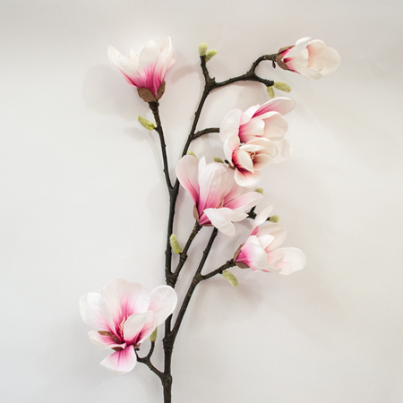 Magnolia Collecta large ponk 92cm