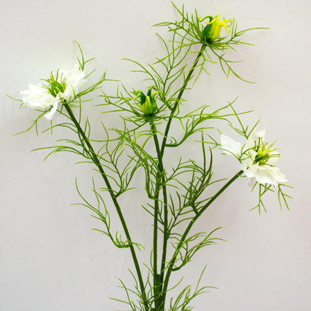 Nigella Starlet white 66 cm