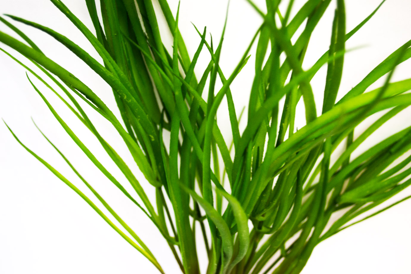 Grass bush 37cm