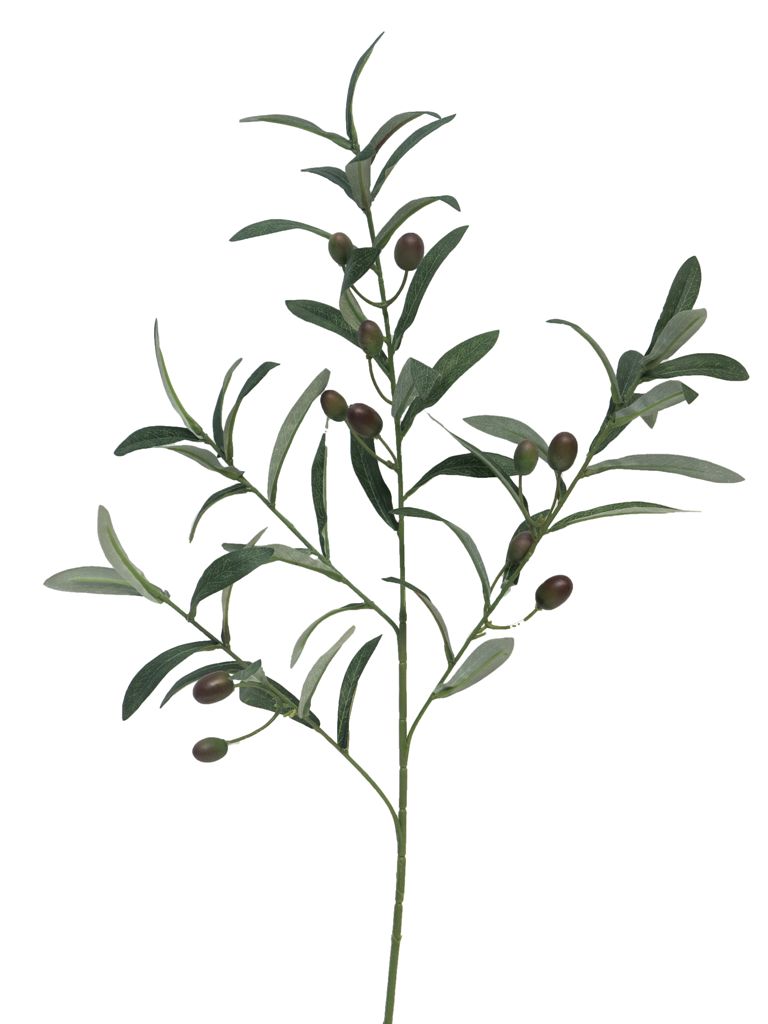 Olive Joly green 75cm