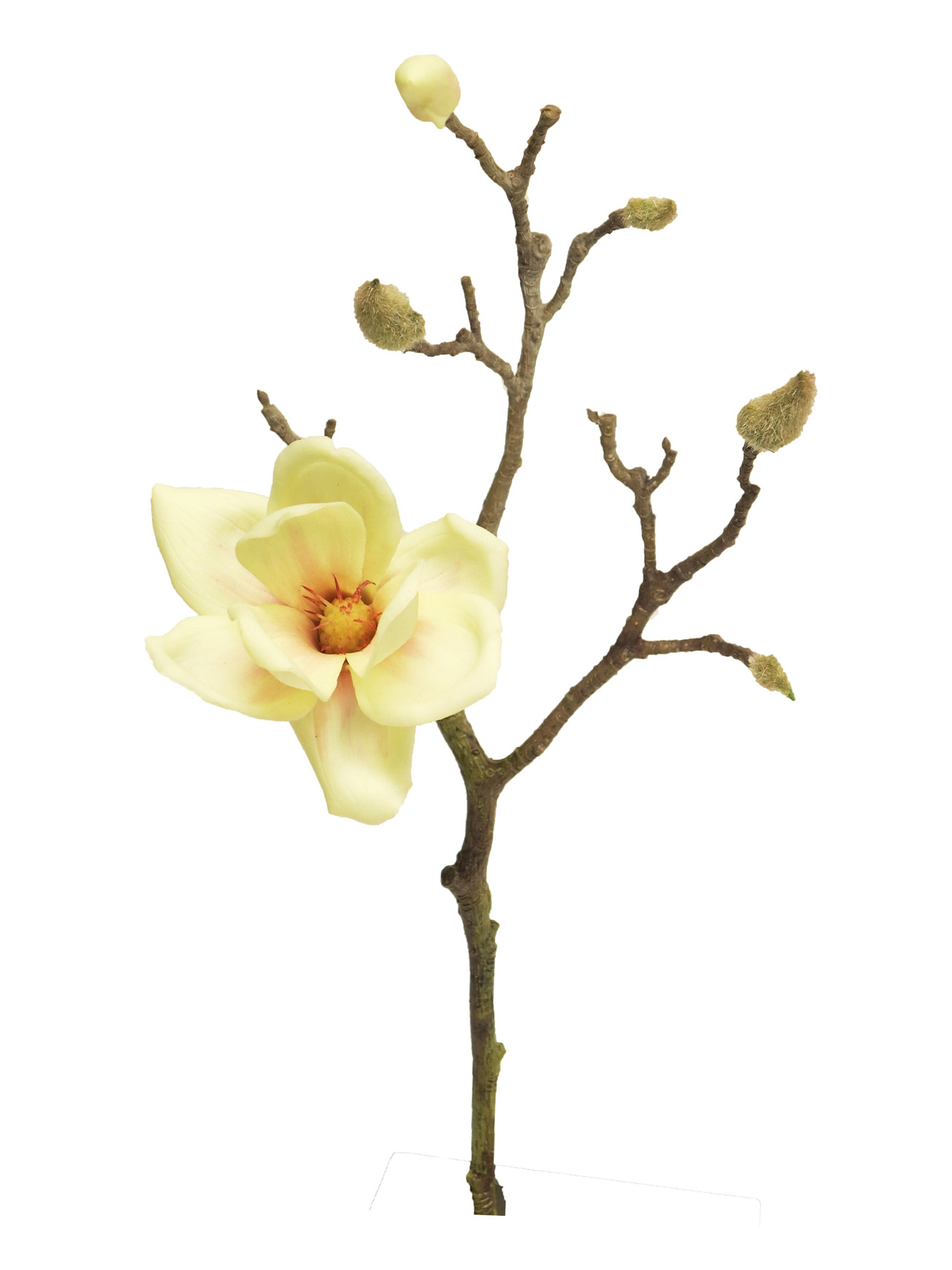 Magnolie - Magnolia pick Lara cream / bilá 45cm