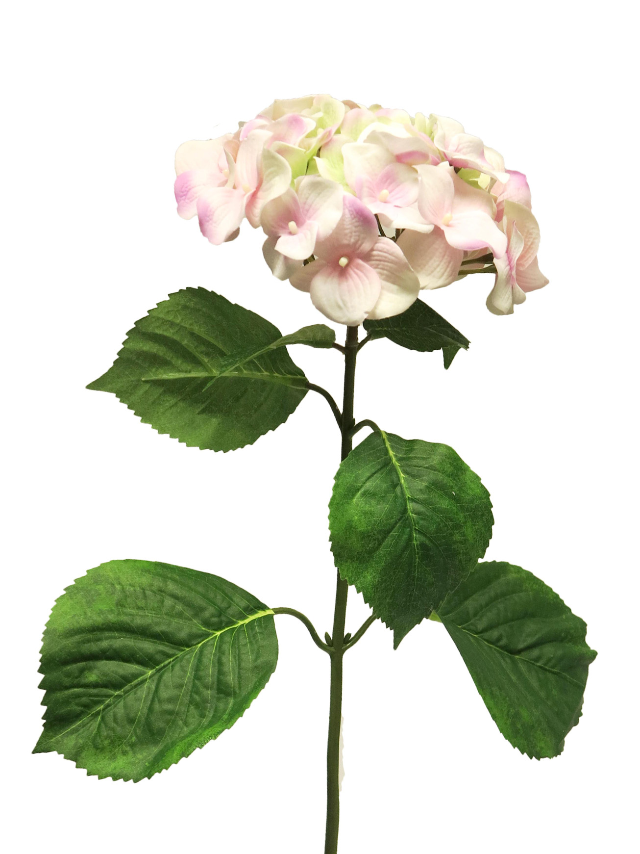 Hortenzie - Hydrangra Joan růžová 71cm