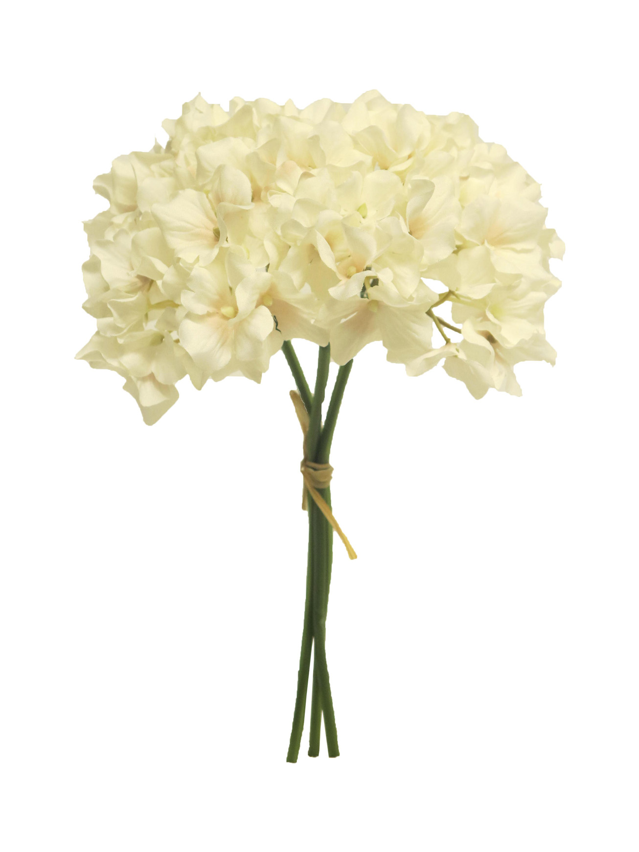 Hortenzie - hydrangea Macrophylla bundle bilá 27cm