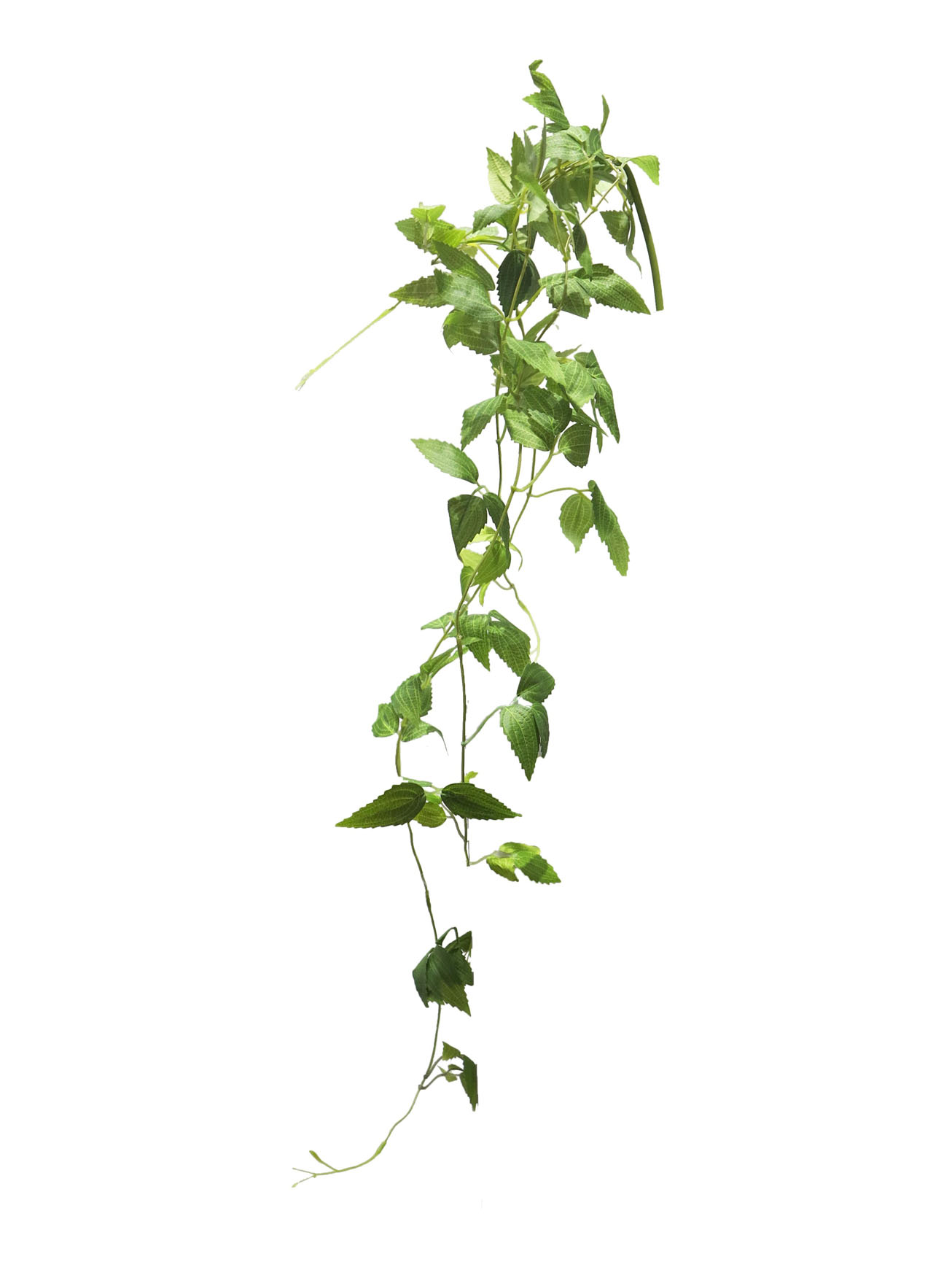 Berlin leaves (listy) hanger 100cm