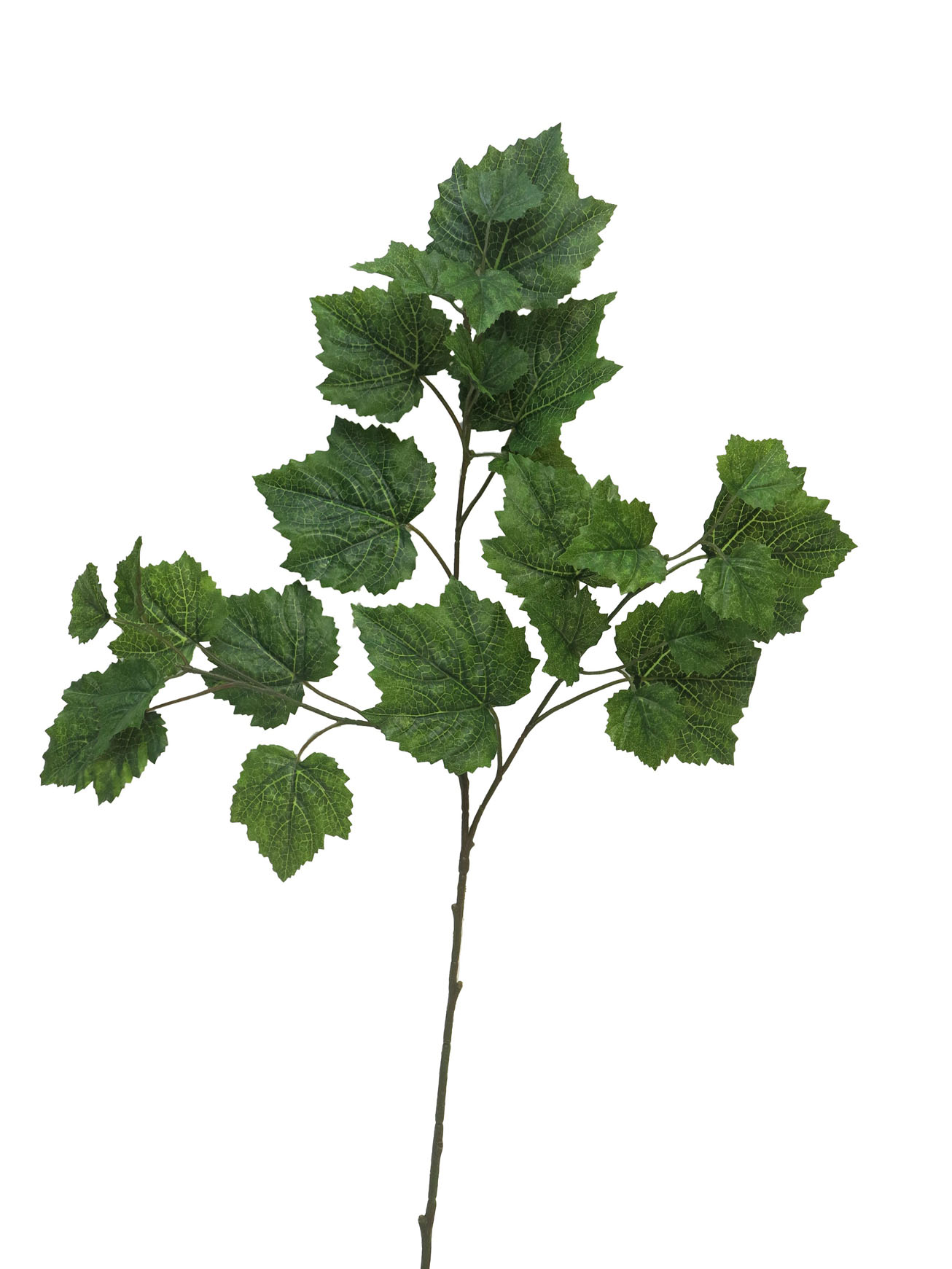Vitis spray zelený 63cm