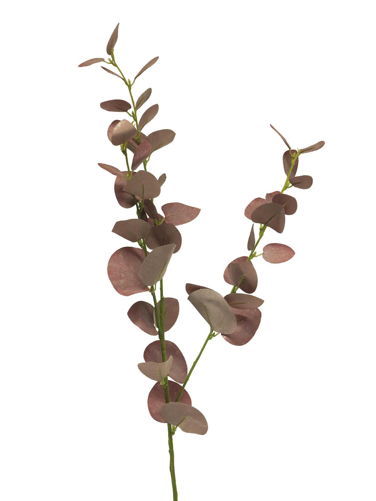 Blahovičník - Eukalyptus Vintage červený V76 cm  (N318103)