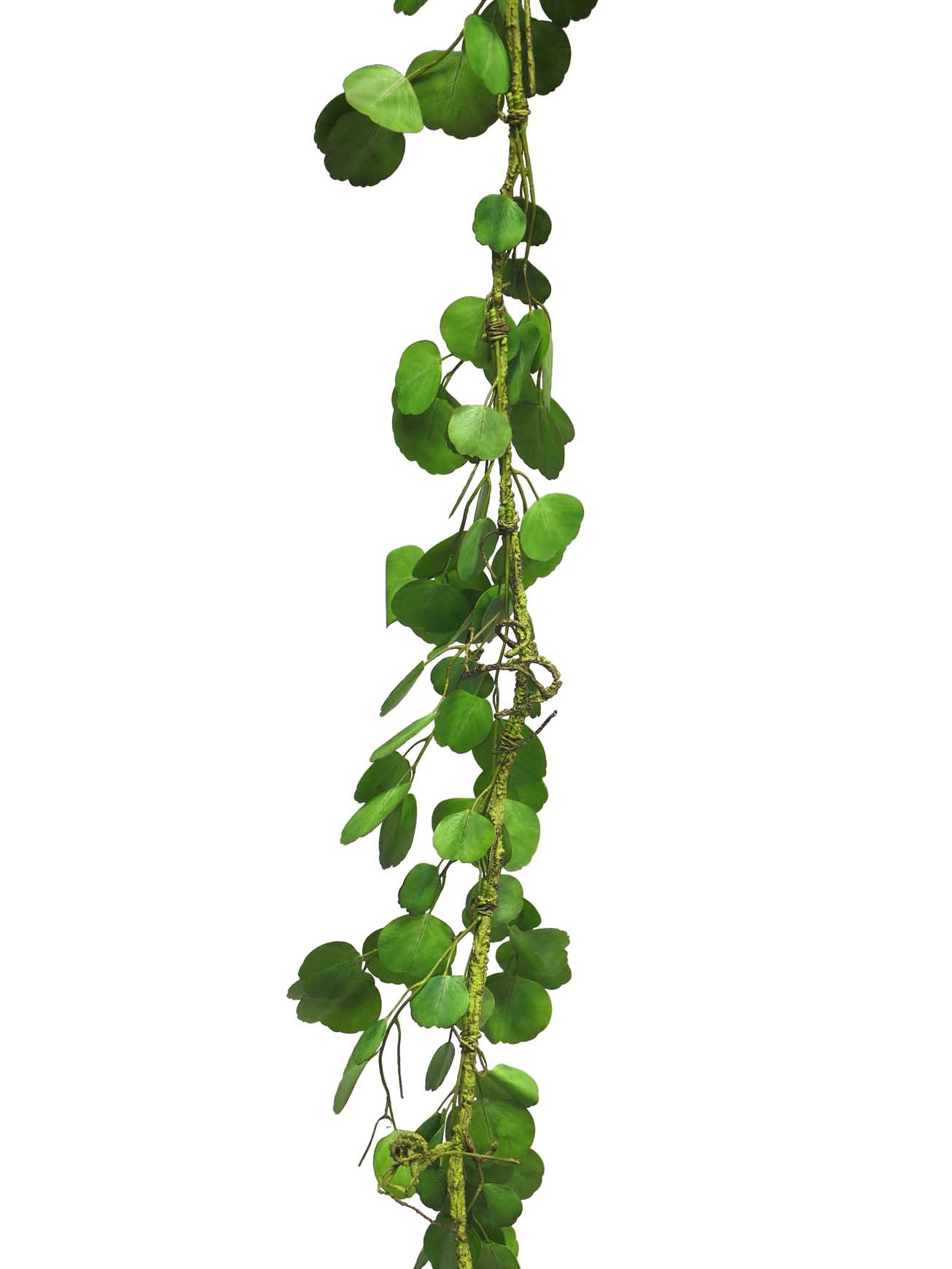 Blahovičník - Eukalyptus / Eucalyptus girlanda zelená 180cm (N402780)