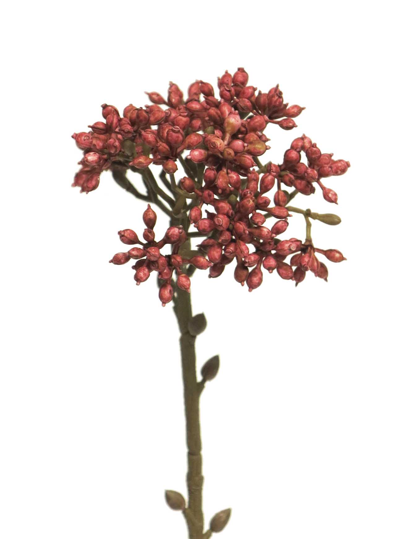 Japanese berry (bobul) červený 43cm