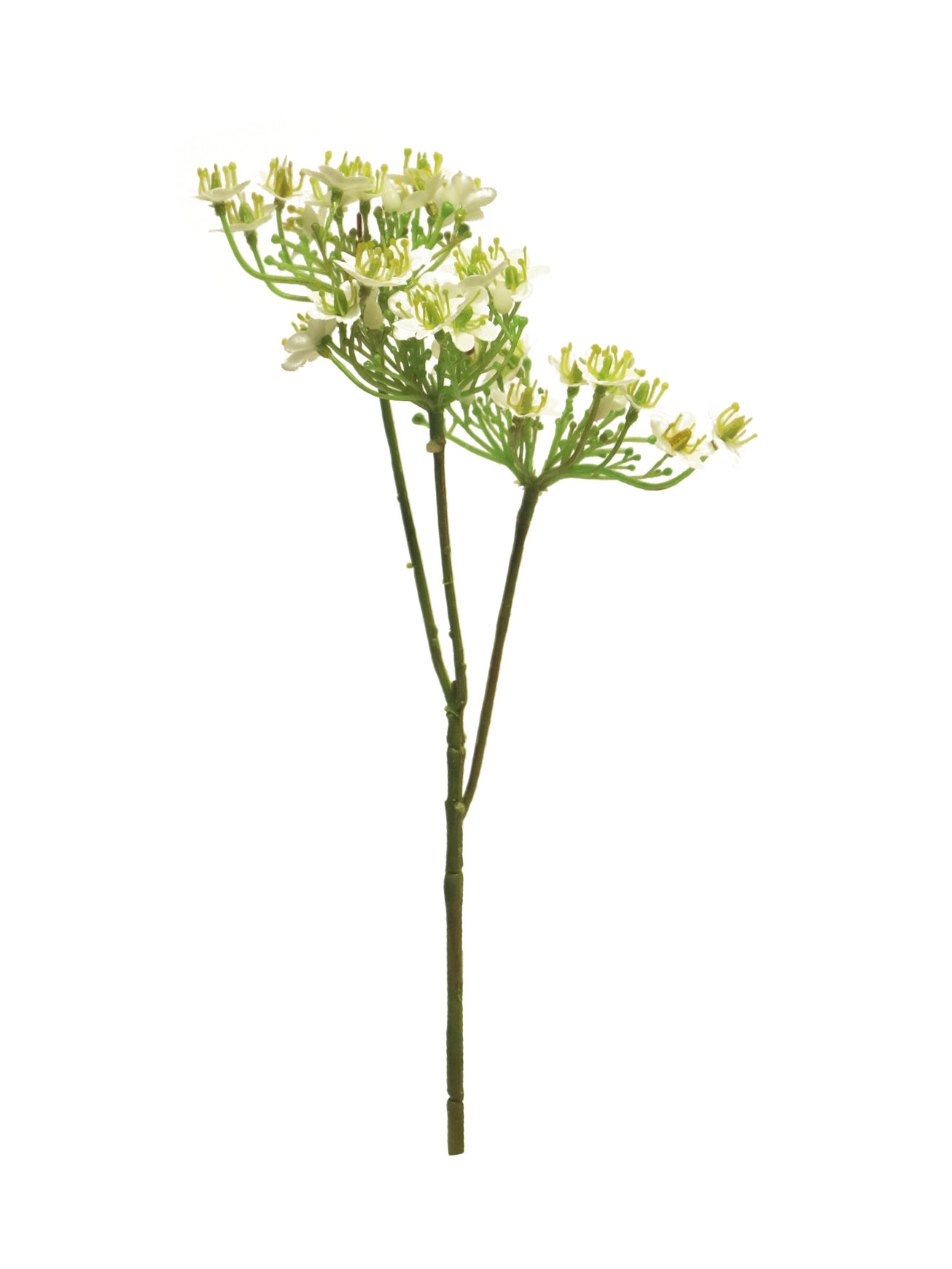 divoká sedmikráska - Wild daisy spray bilá 37cm