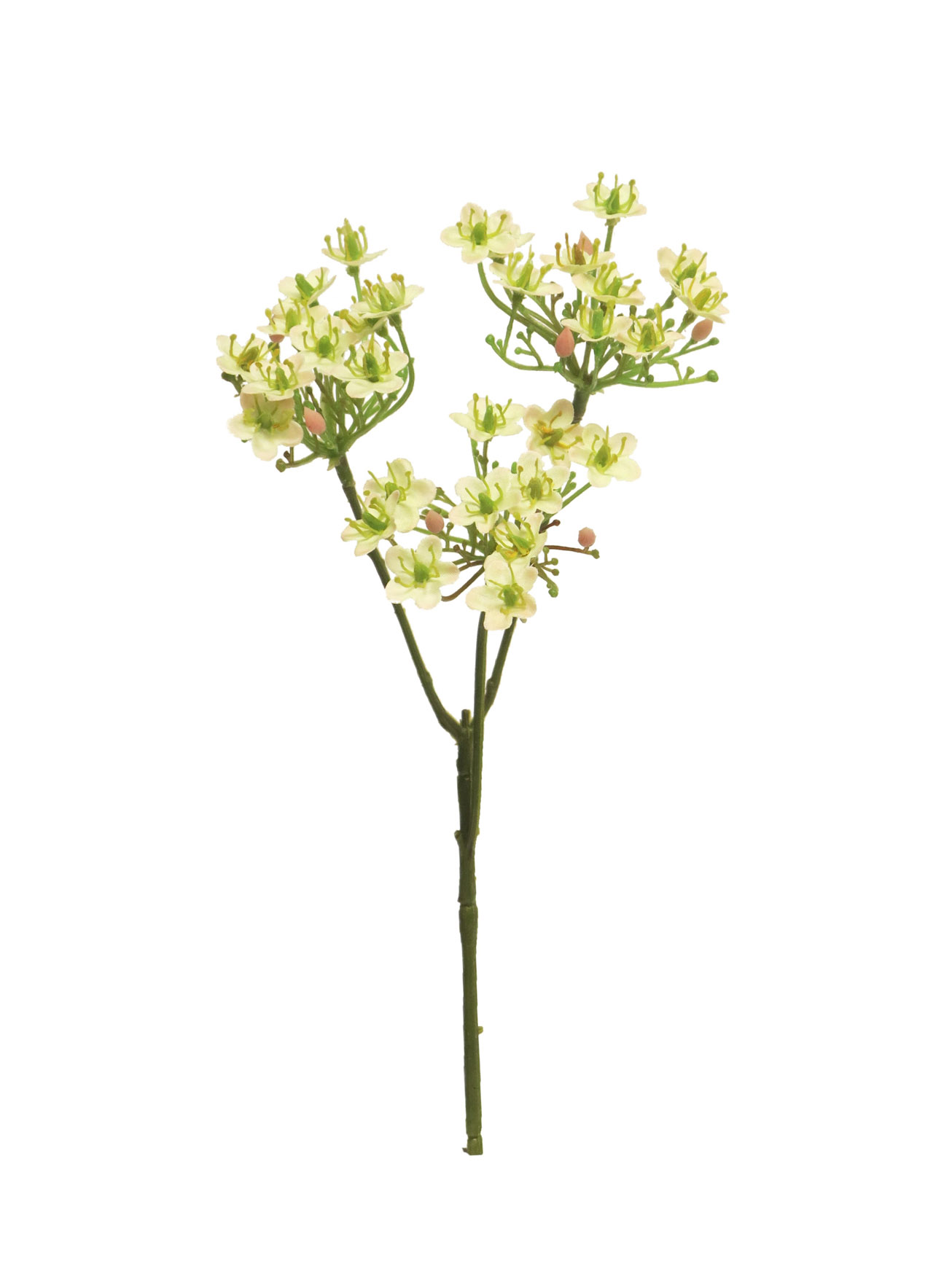 divoká sedmikráska  - Wild daisy spray zelená 37cm