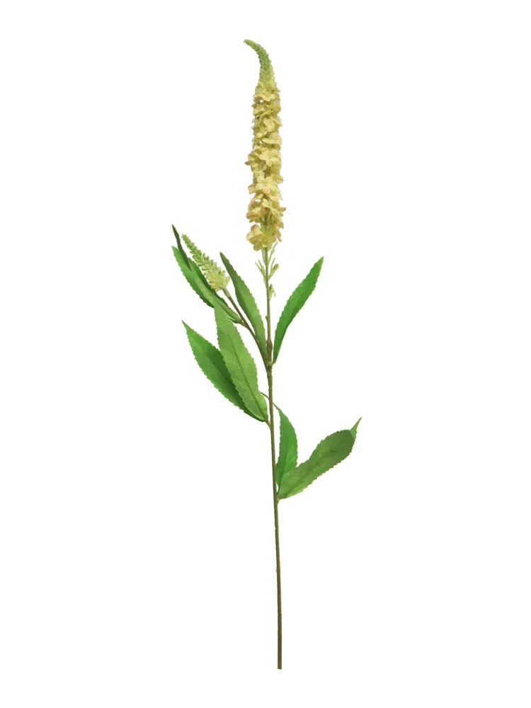 Veronica větev zlutá V76cm (N923745)