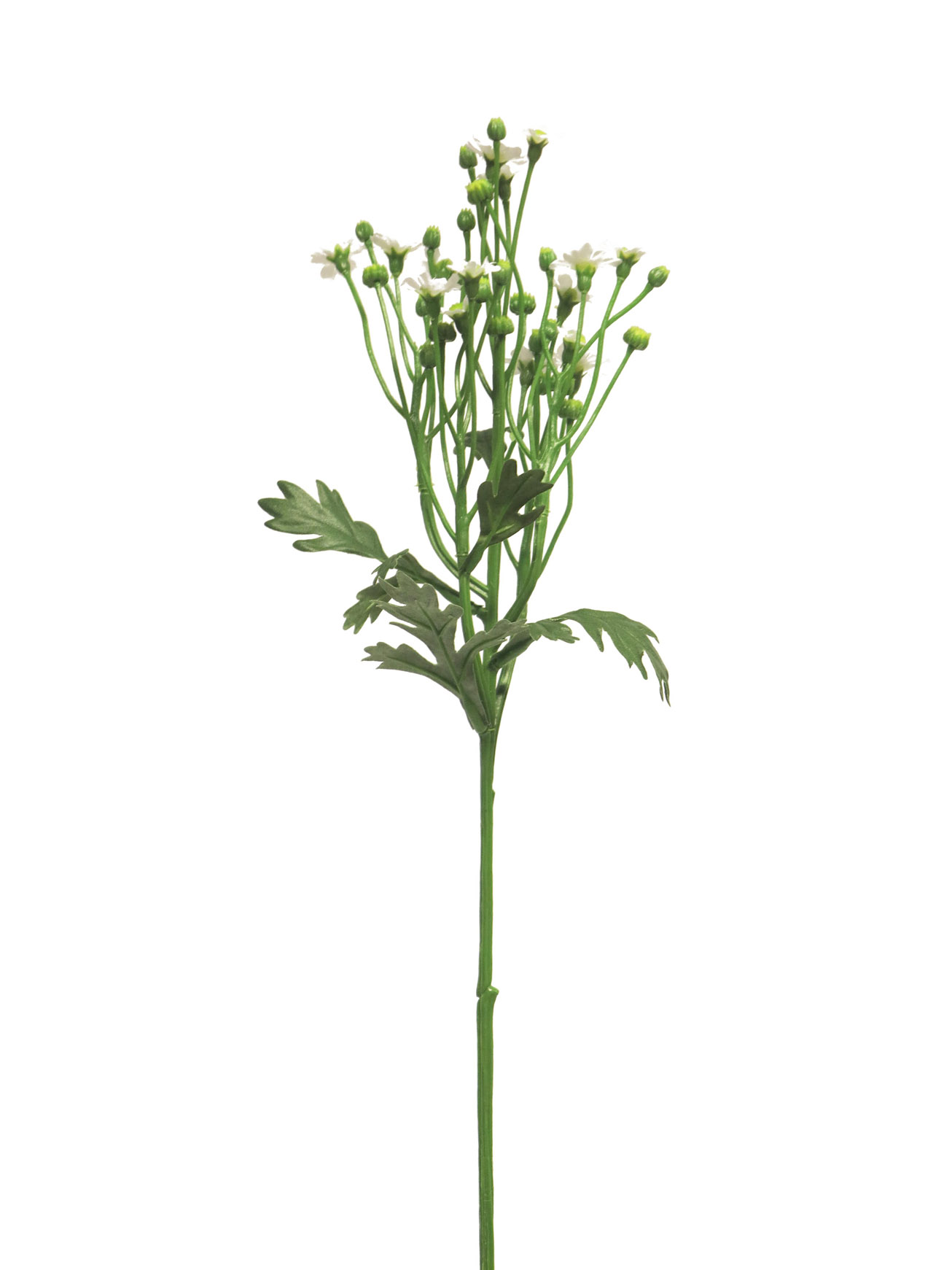 divoká sedmikráska  - Wild daisy spray bílá 63,5cm