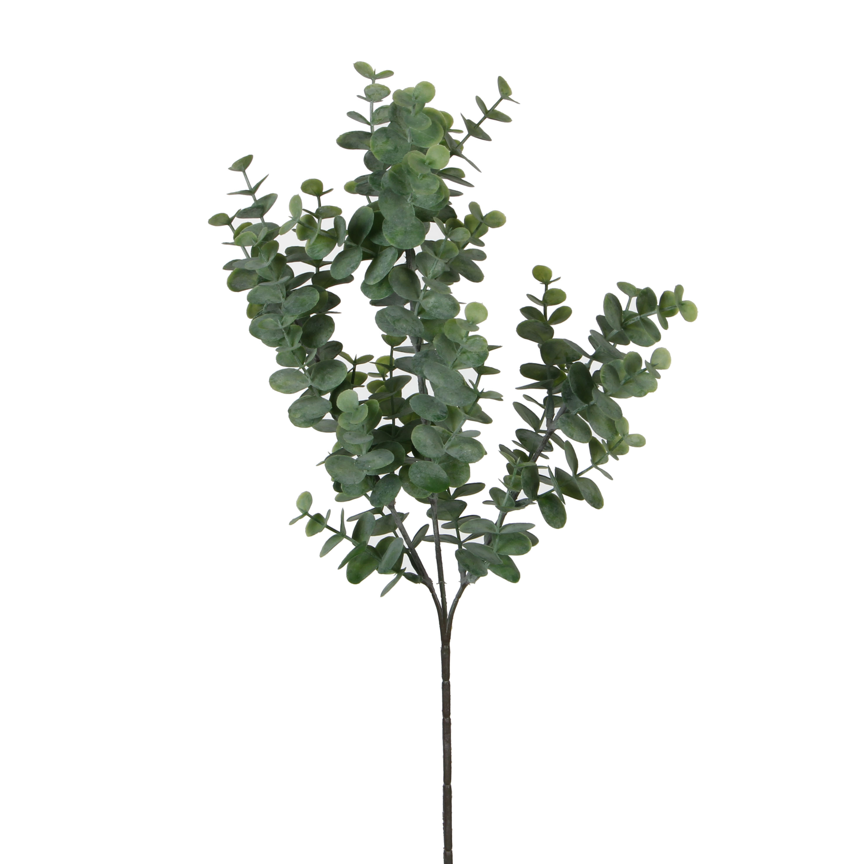 Eucalyptus green v65cm