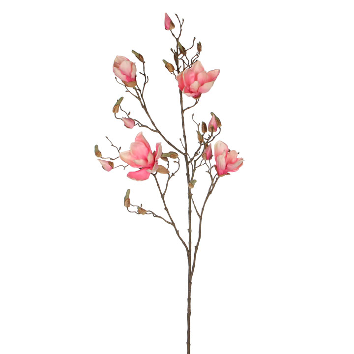 Magnolie - Magnolia růžová 109cm