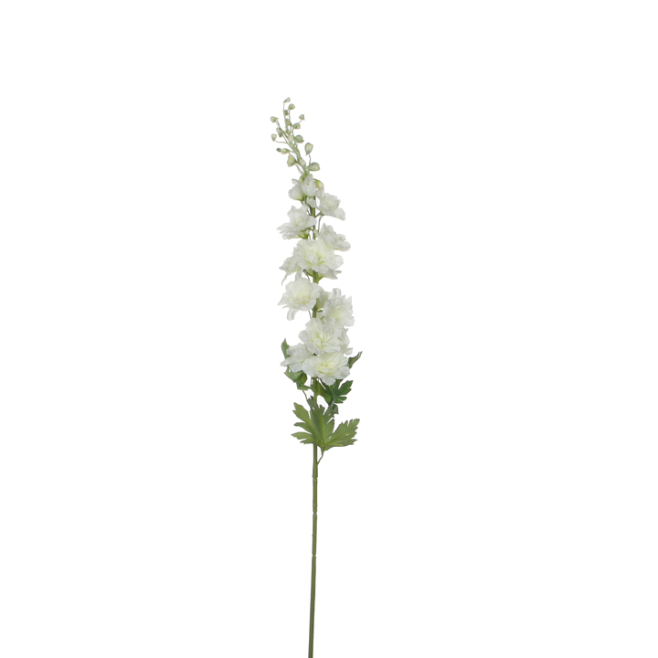 Stračka (Ostrožka) - Delphinium bilá 178cm