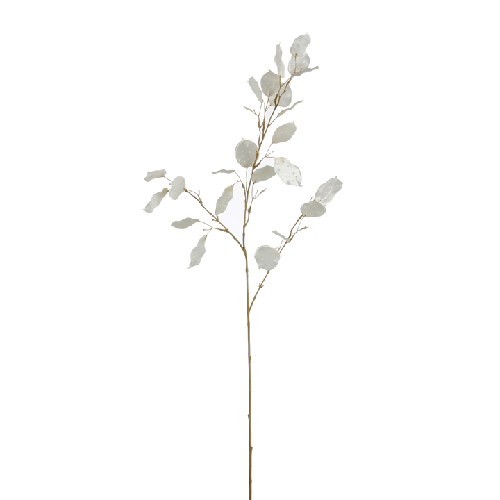 Money plant bílý 107cm