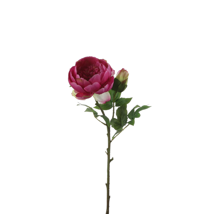 Pivonka - Peony fialová v62cm