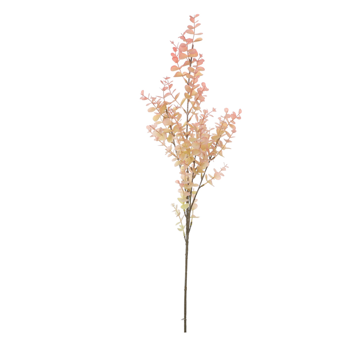 Blahovičník - Eukalyptus růžový 80cm
