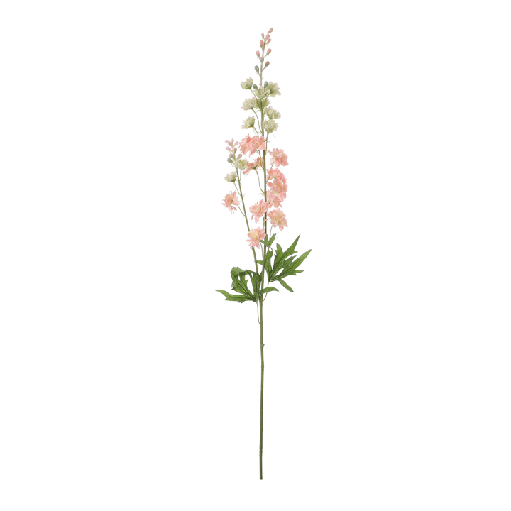 Stračka (Ostrožka) - Delphinium růžová 86cm