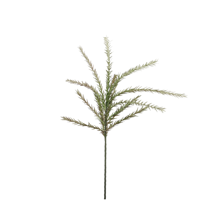 Springeria buch green 16x8cm
